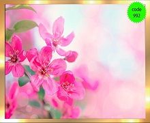 آسمان مجازی ماربل پلکسی
